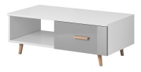 Table basse EDEN 110 cm avec 1 tiroir et 1 niche, coloris blanc et gris.