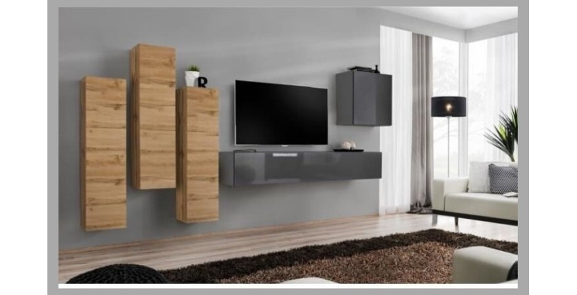 Ensemble de meubles de salon design collection SWITCH III. Coloris chêne wotan et gris brillant.