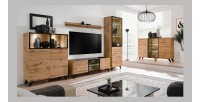 Meuble tv TINO. Idéal pour votre salon. Look tendance type industriel, bois, verre et métal.