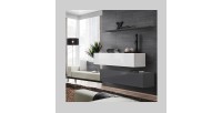Ensemble meubles de salon SWITCH SBII design, coloris gris et blanc brillant.