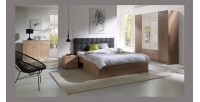 Armoire 4 portes de 2 mètres avec miroirs pour chambre à coucher MAXIM coloris dab sonoma.