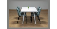 Table 200 x 100 Collection RENNES pieds métal et plateau blanc. Table design.