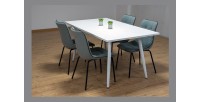 Table 200 x 100 Collection RENNES pieds métal et plateau blanc. Table design.