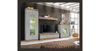 Ensemble de meubles de salon collection MUNICH. Style design.