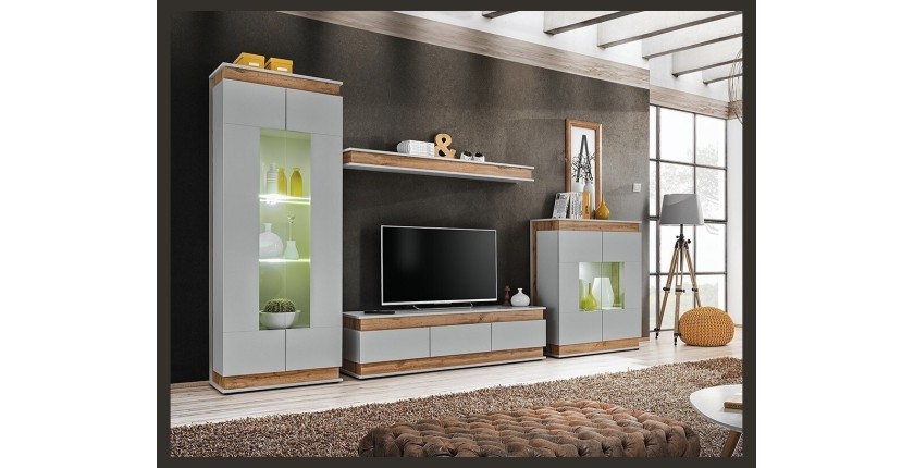 Ensemble de meubles de salon collection MUNICH. Style design.