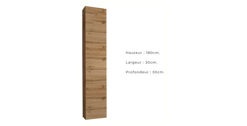 Ensemble meubles de salon style industriel SWITCH M5. Coloris chêne.