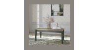 Table basse rectangulaire collection ASSIA. Coloris vert et chêne.