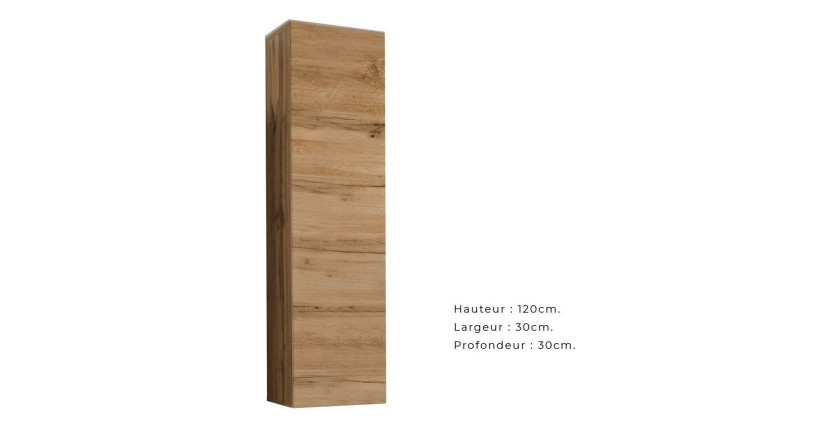 Ensemble meuble salon collection SWITCH II design, coloris chêne Wotan.