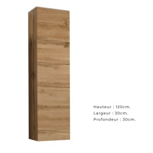Ensemble meuble salon collection SWITCH II design, coloris chêne Wotan.