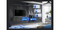 Ensemble meubles de salon SWITCH XXIV design, coloris Gris et blanc.