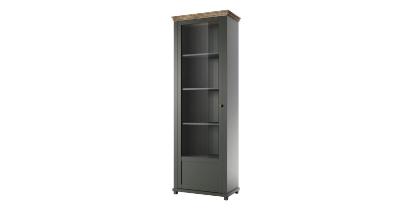 Vitrine 1 porte avec LED intégrées collection ASSIA. Coloris vert et chêne. Ouverture gauche
