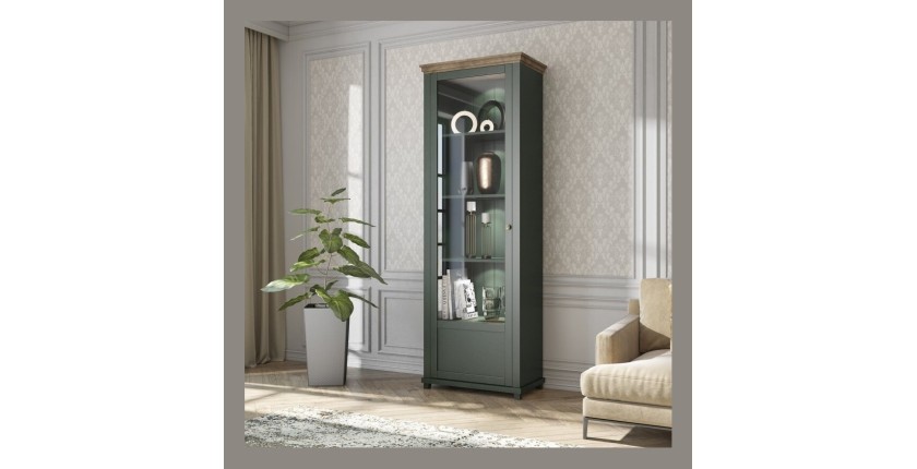 Vitrine 1 porte avec LED intégrées collection ASSIA. Coloris vert et chêne. Ouverture gauche