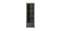 Vitrine 1 porte avec LED intégrées collection ASSIA. Coloris vert et chêne. Ouverture gauche