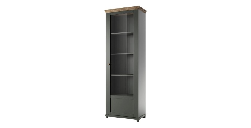 Vitrine 1 porte avec LED intégrées collection ASSIA. Coloris vert et chêne. Ouverture droite
