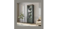 Vitrine 1 porte avec LED intégrées collection ASSIA. Coloris vert et chêne. Ouverture droite