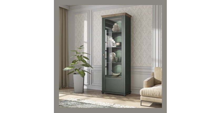 Vitrine 1 porte avec LED intégrées collection ASSIA. Coloris vert et chêne. Ouverture droite