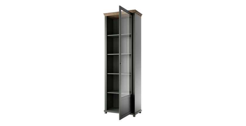 Vitrine 1 porte avec LED intégrées collection ASSIA. Coloris vert et chêne. Ouverture droite