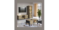 Vitrine haute design, 2 portes collection DARWIN. Couleur chêne clair et noir.