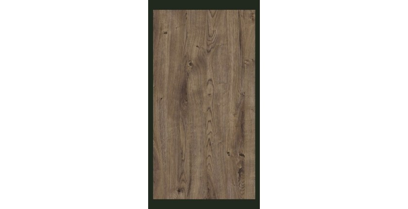 Armoire 250x220 avec 5 portes. Coloris vert kaki et chêne. Collection ASSIA