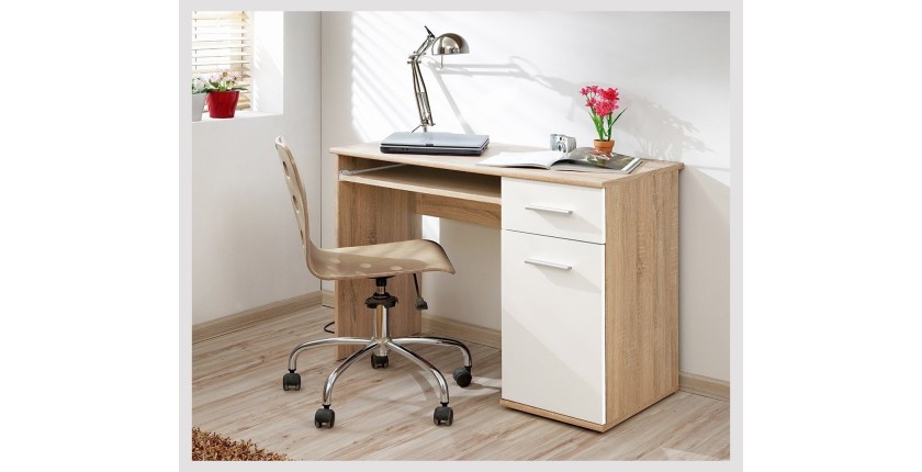 Bureau enfant, Ado avec étagère coulissante, 1 porte et un tiroir collection DENVER