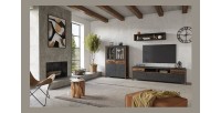 Ensemble 3 meubles de salon collection WINDSOR. Coloris gris anthracite et chêne foncé.