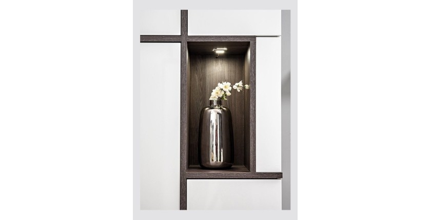 Ensemble 4 meubles de salon collection CRISS avec LEDS intégrés. Couleur blanche et finitions chêne.
