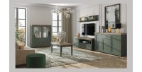 Ensemble de 5 meubles pour votre salon coloris vert et chêne. Collection ASSIA
