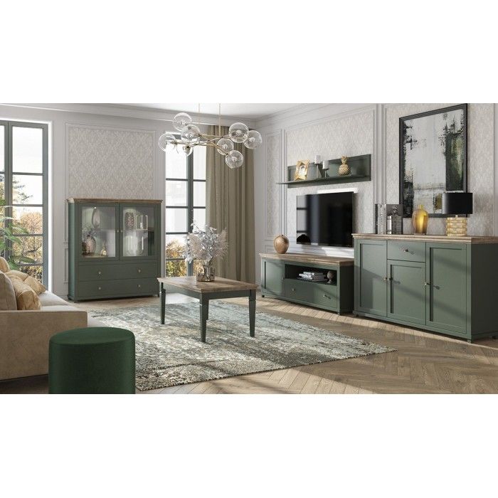 Ensemble de 5 meubles pour votre salon coloris vert et chêne. Collection ASSIA