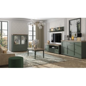 Ensemble de 5 meubles pour votre salon coloris vert et chêne. Collection ASSIA