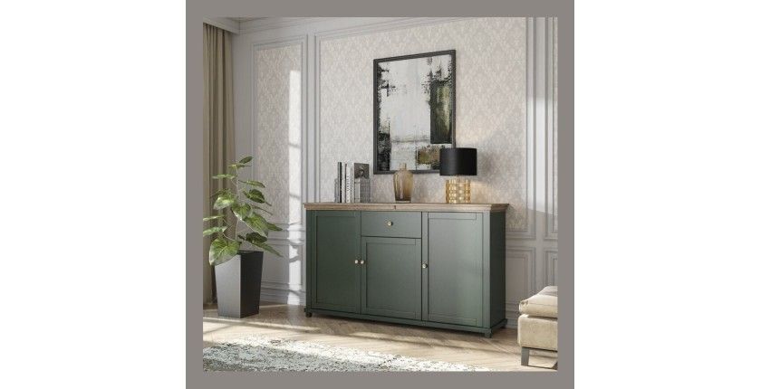 Ensemble de 5 meubles pour votre salon coloris vert et chêne. Collection ASSIA