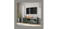 Ensemble de 5 meubles pour votre salon coloris vert et chêne. Collection ASSIA
