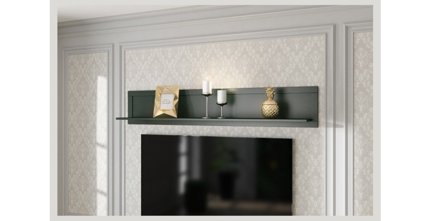 Ensemble de 5 meubles pour votre salon coloris vert et chêne. Collection ASSIA