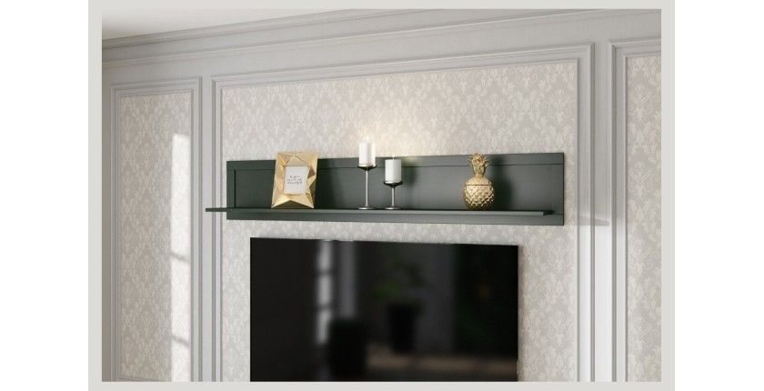 Ensemble de 5 meubles pour votre salon coloris vert et chêne. Collection ASSIA