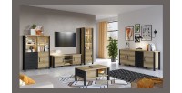 Ensemble de 5 meubles de salon collection DARWIN. Couleur chêne clair et noir.