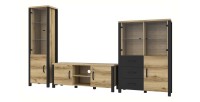 Ensemble de 3 meubles de salon collection DARWIN. Couleur chêne clair et noir.