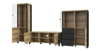 Ensemble de 3 meubles de salon collection DARWIN. Couleur chêne clair et noir.