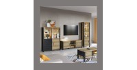 Ensemble de 3 meubles de salon collection DARWIN. Couleur chêne clair et noir.