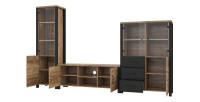 Ensemble de 3 meubles de salon collection DARWIN. Couleur épicéa et noir.