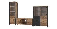 Ensemble de 3 meubles de salon collection DARWIN. Couleur épicéa et noir.