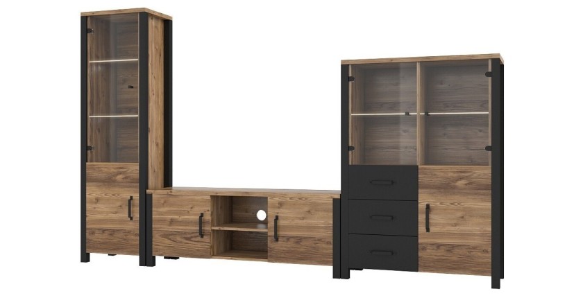 Ensemble de 3 meubles de salon collection DARWIN. Couleur épicéa et noir.