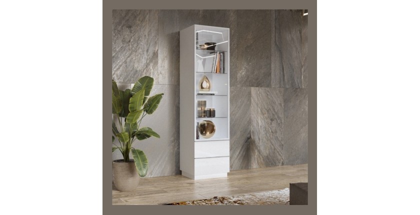 Vitrine haute, 1 porte vitrée et 2 tiroirs collection ZANTE avec LED intégrées. Coloris blanc brillant.