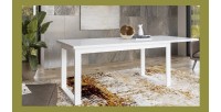 Table extensible 10 personnes pour salle à manger Collection ZANTE. Coloris blanc brillant.