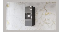 Vitrine suspendue, 1 porte vitrée avec LED intégrée collection ZANTE. Coloris noir et gris brillant.