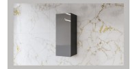 Vitrine suspendue 1 porte collection ZANTE. Coloris noir et gris brillant.
