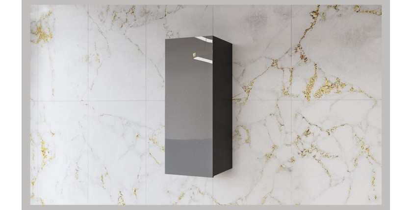 Vitrine suspendue 1 porte collection ZANTE. Coloris noir et gris brillant.