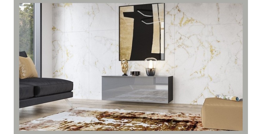 Meuble TV 120cm collection ZANTE avec 1porte. Couleur noir et gris brillant.