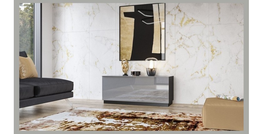Meuble TV 120cm collection ZANTE avec 1porte. Couleur noir et gris brillant.