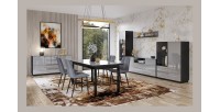 Ensemble de 6 meubles de salon collection ZANTE. Couleur noir et gris brillant.