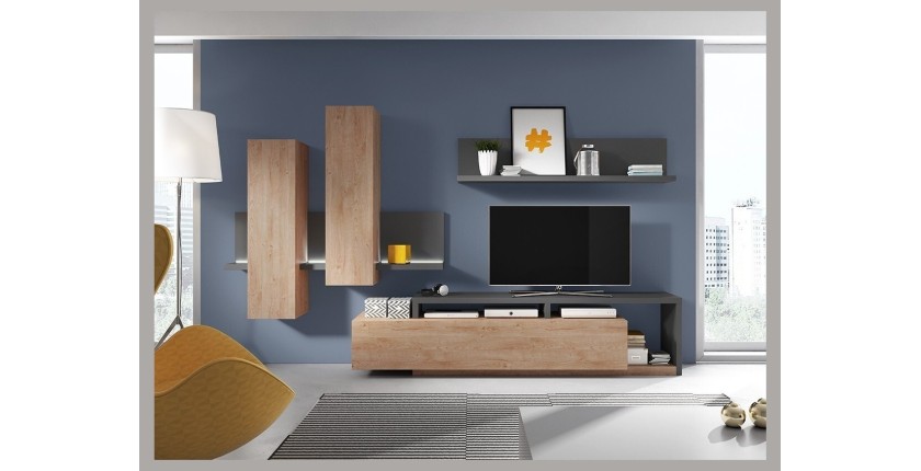 Ensemble meubles de salon avec LED collection BERGAME. Coloris chêne et gris.
