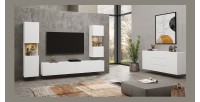 Vitrine 1 porte partiellement vitrée collection EVA. Couleur blanc et chêne.